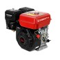 EBERTH Motor de gasolina 5,5 CV / 4,1 kW y 163 cc